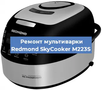 Замена платы управления на мультиварке Redmond SkyCooker M223S в Нижнем Новгороде